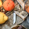 Сгъваем нож Opinel №5 Inox, острие 6 см [2]