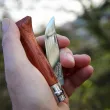 Сгъваем нож Opinel Luxe Padouk №6 с острие 7 см [2]